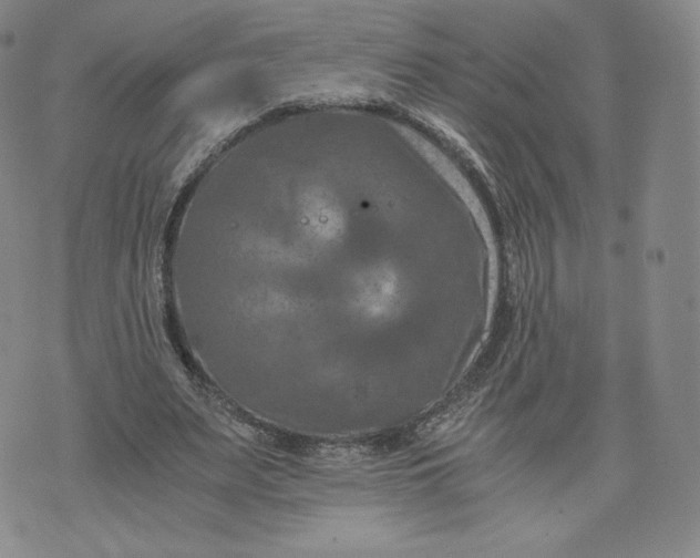 X0000076310487200610161622