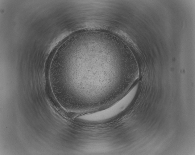 X0000076310488200610161622