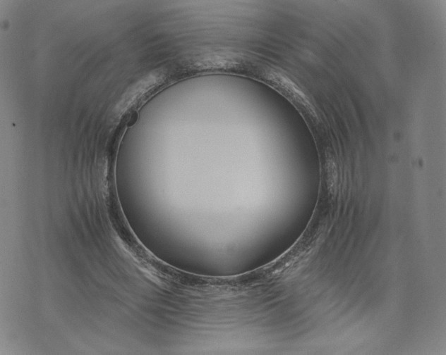 X0000076310490200610161622