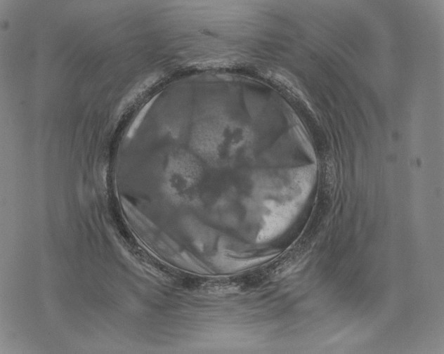 X0000076310491200610161622