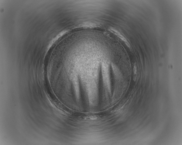 X0000076310492200610161622