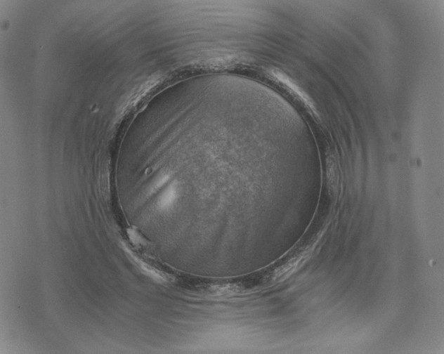 X0000076310493200610161622