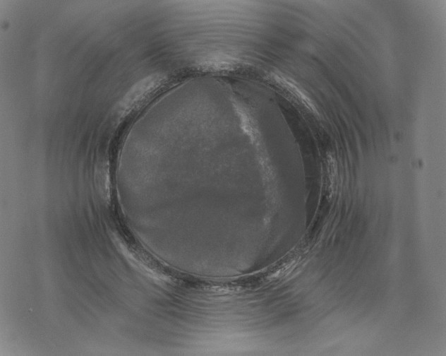 X0000076310494200610161622