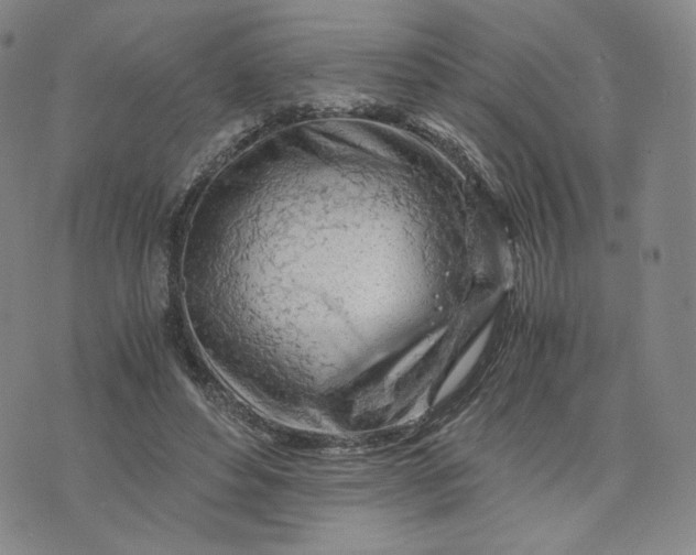 X0000076310496200610161622