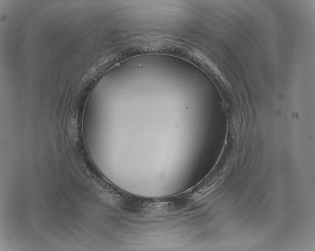 X0000076310497200610161622