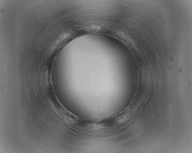 X0000076310498200610161622