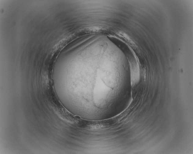 X0000076310500200610161622