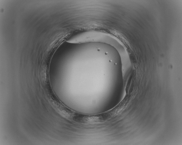 X0000076310501200610161622