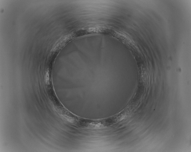 X0000076310502200610161622