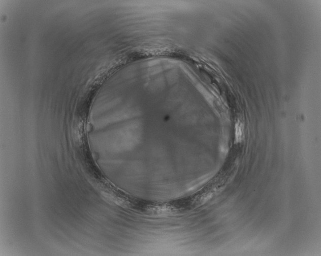 X0000076310503200610161622