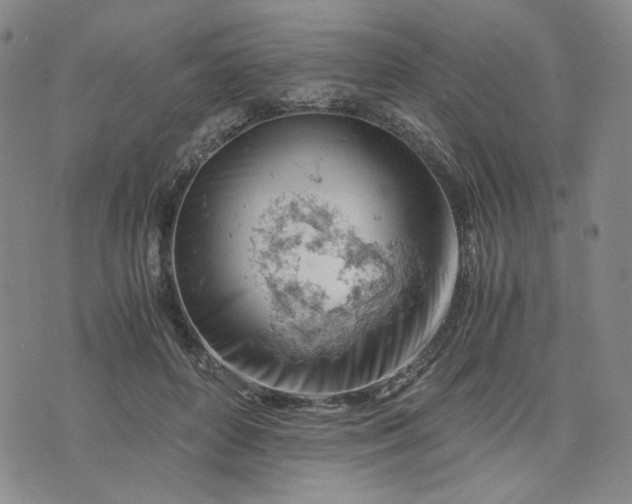 X0000076310504200610161622