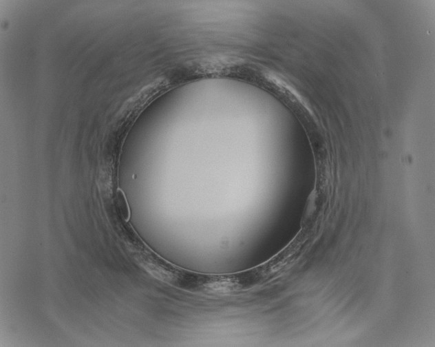 X0000076310505200610161622