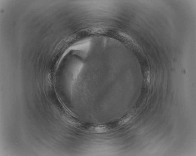 X0000076310506200610161622