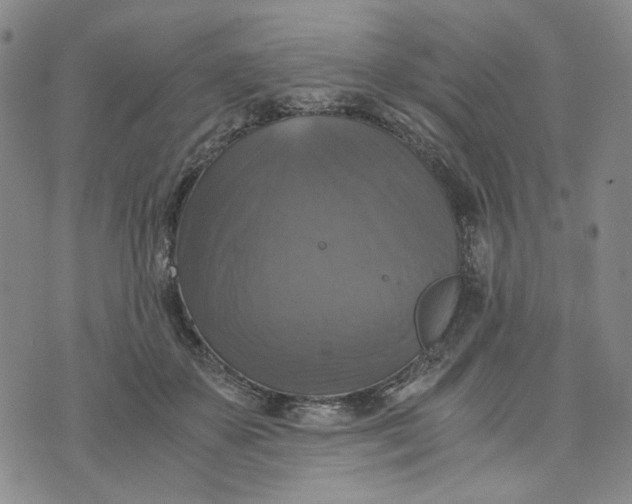 X0000076310507200610161622