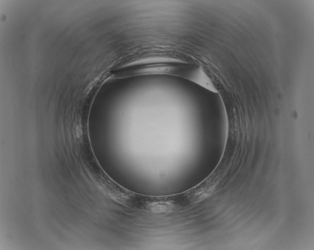 X0000076310508200610161622