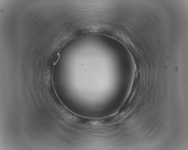 X0000076310509200610161622