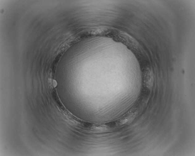 X0000076310510200610161622