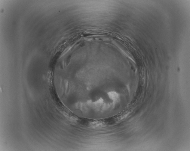 X0000076310511200610161622