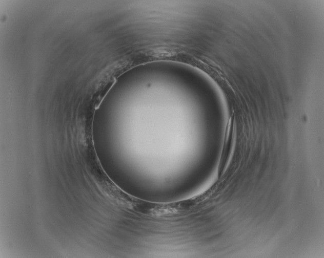 X0000076310512200610161622