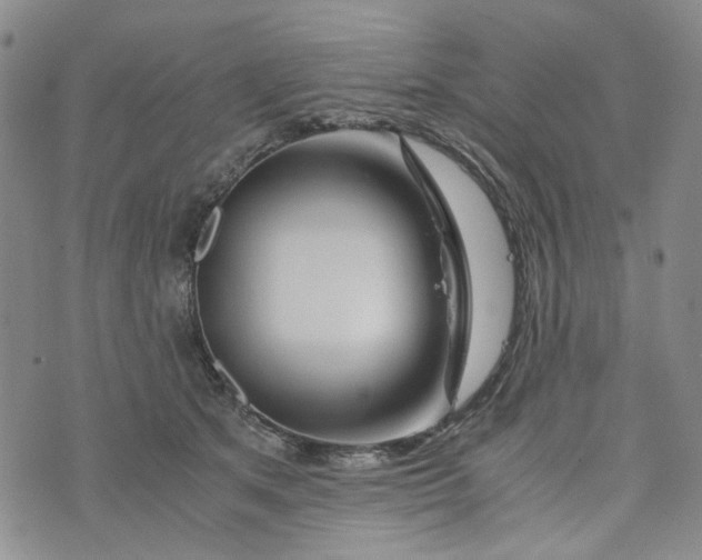 X0000076310513200610161622