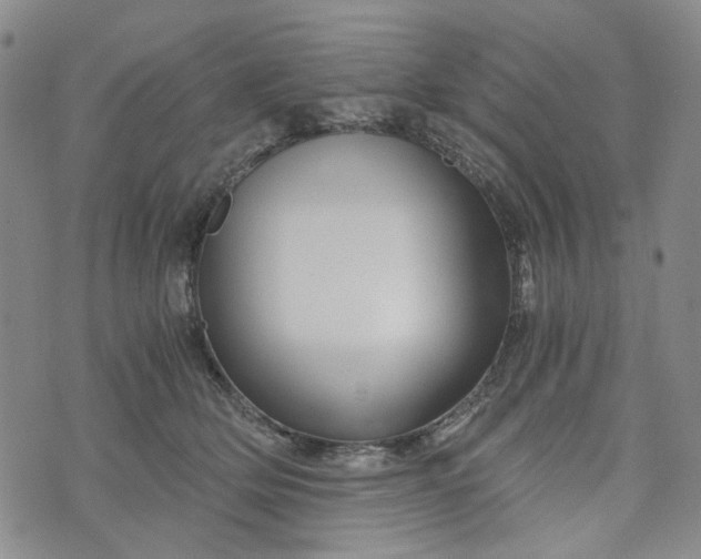 X0000076310514200610161622