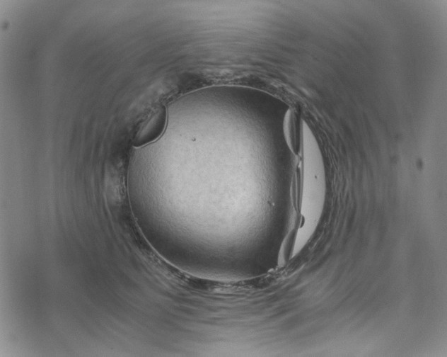 X0000076310515200610161622