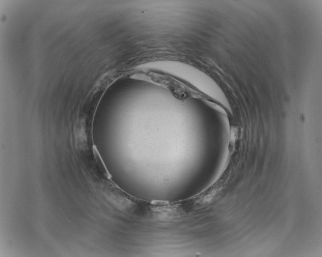 X0000076310516200610161622