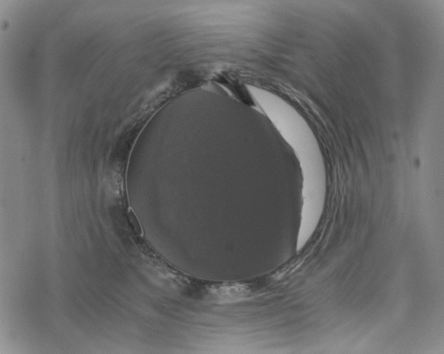 X0000076310517200610161622