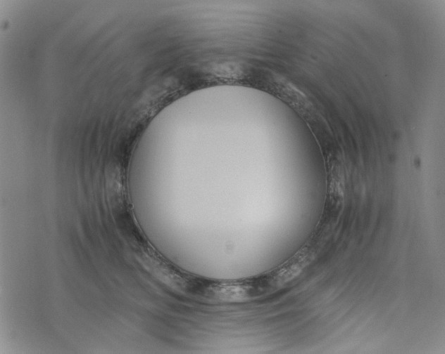 X0000076310518200610161622