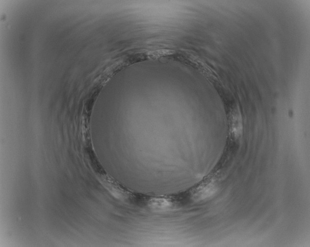 X0000076310519200610161622