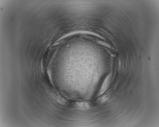 X0000076310520200610161622