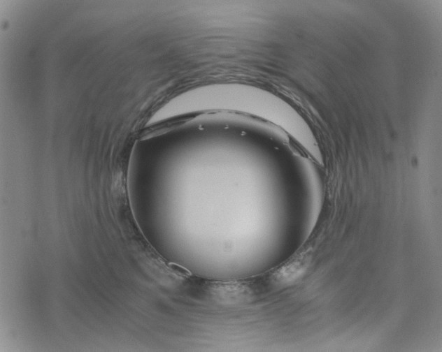 X0000076310521200610161622