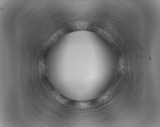 X0000076310522200610161622