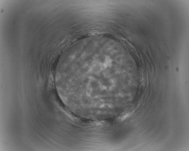 X0000076310523200610161622