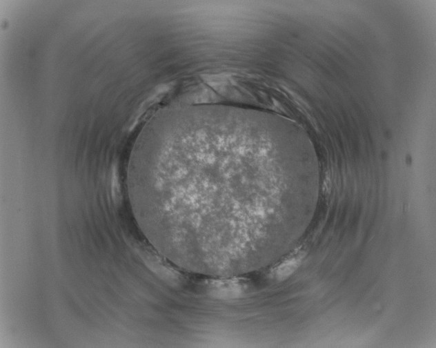 X0000076310524200610161622