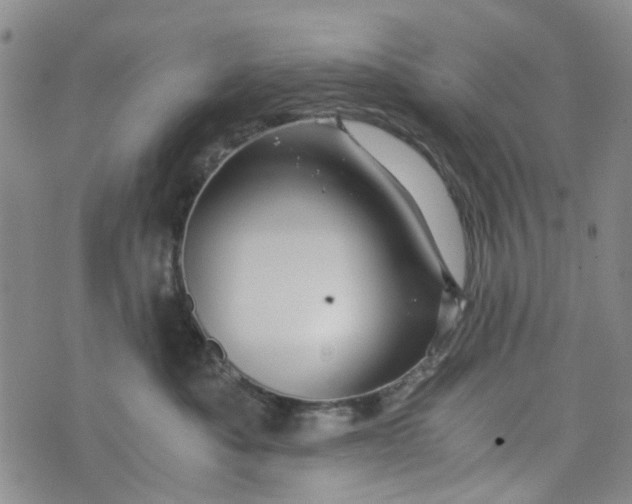 X0000076310525200610161622