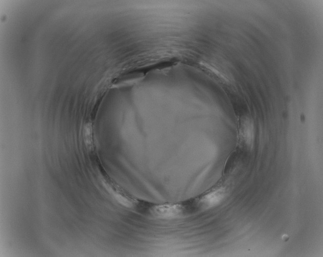 X0000076310526200610161622