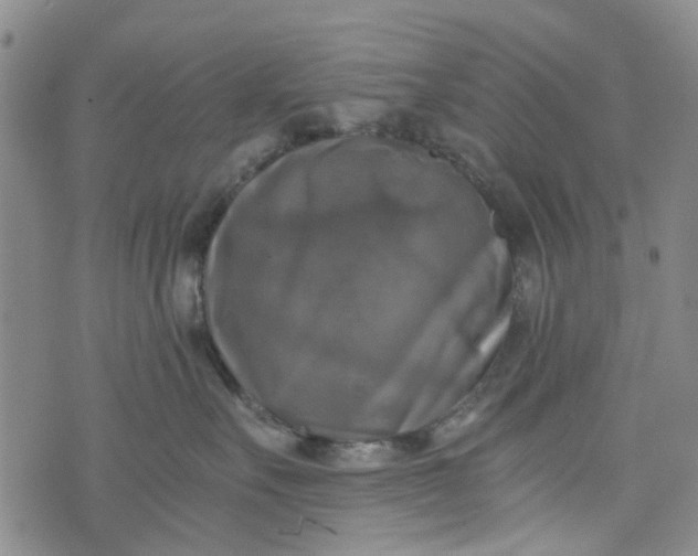 X0000076310527200610161622