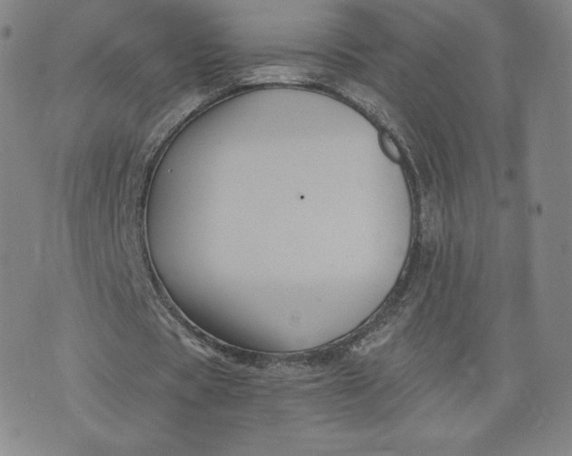 X0000076310529200610161621