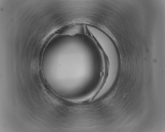 X0000076310530200610161621