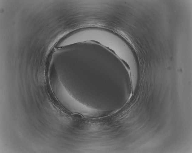 X0000076310531200610161621