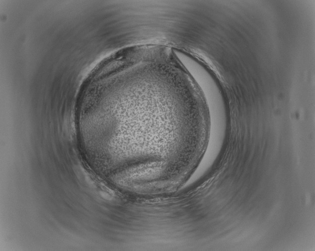 X0000076310532200610161621