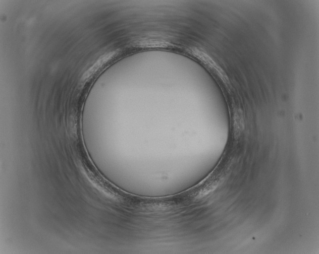 X0000076310533200610161621