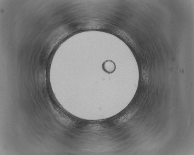 X0000076310534200610161621