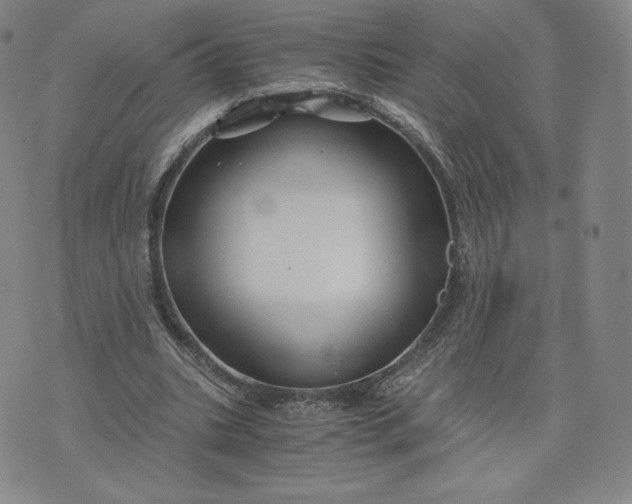 X0000076310535200610161621