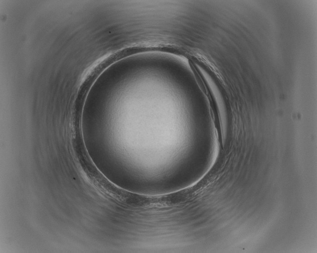 X0000076310536200610161621