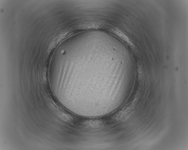 X0000076310537200610161621