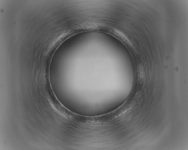 X0000076310538200610161621