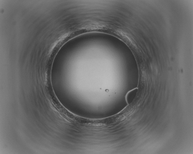 X0000076310539200610161621