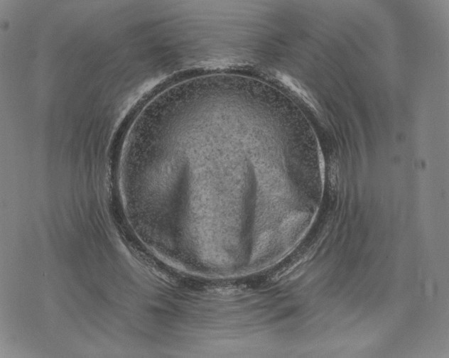 X0000076310540200610161621